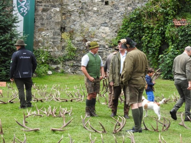 Abwurfstangenschau 2025