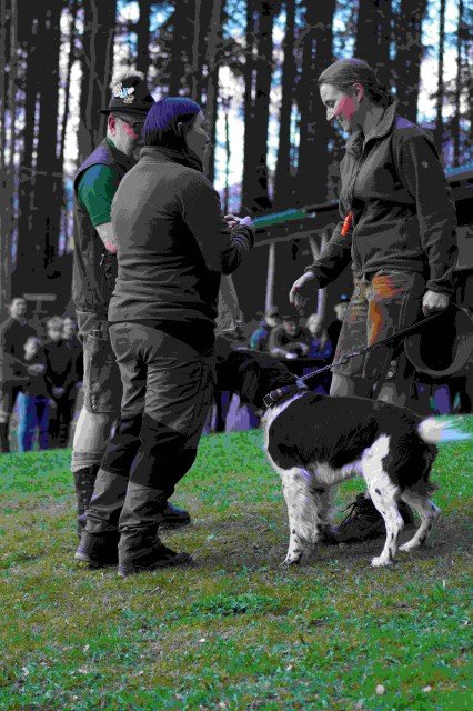 Hundepräsentation 2026