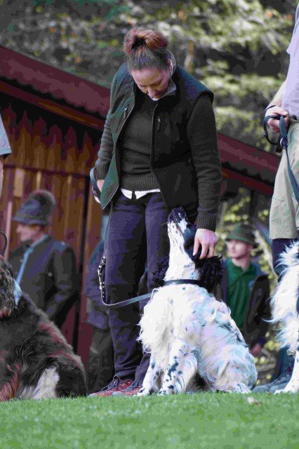 Hundepräsentation 2026