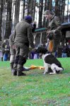Hundepräsentation 2026
