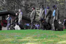Hundepräsentation 2026
