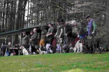 Hundepräsentation 2026