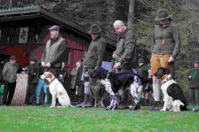 Hundepräsentation 2026