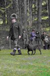 Hundepräsentation 2026