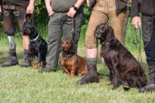 13. Schweißsonderprüfung der Steirischen Landesjägerschaft im Jagdbezirk Mürzzuschlag.