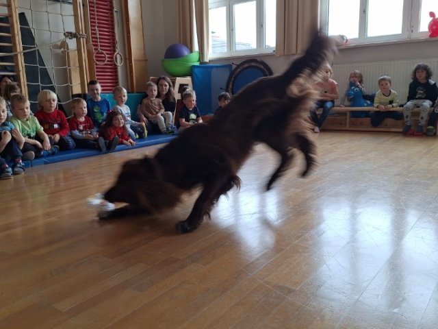 Besuch im Kindergarten Sternschnuppe