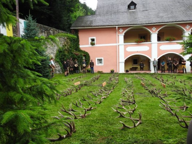 Abwurfstangenschau 2025