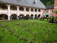 Abwurfstangenschau 2025