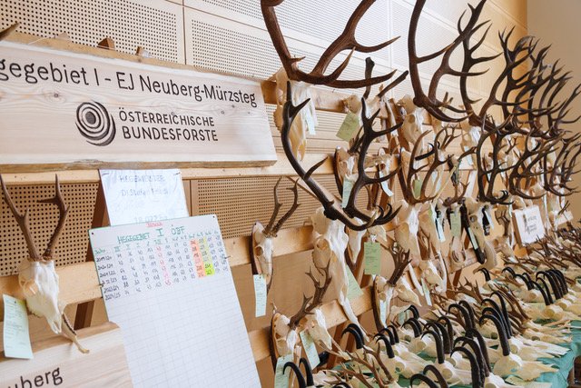 Bezirksjägertag 2025