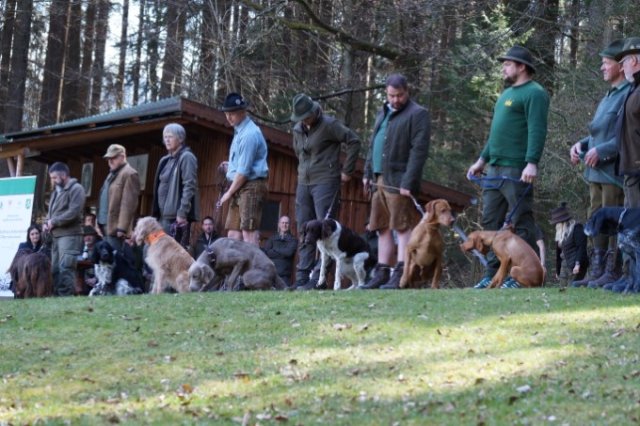 Jagdhundepräsentation 2025