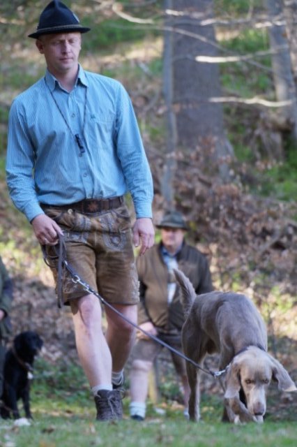 Jagdhundepräsentation 2025