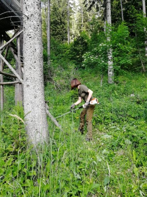 Jungjägersalztragen 2025