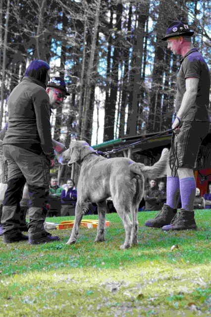 Hundepräsentation 2026